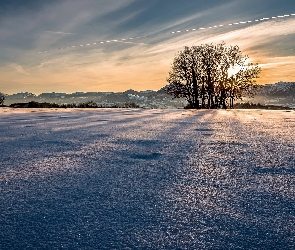 Śnieg, Zachód słońca, Drzewa, Góry, Zima