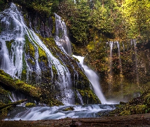 Stany Zjednoczone, Stan Waszyngton, Drzewa, Las, Wodospad Panther Creek Falls, Gifford Pinchot National Forest