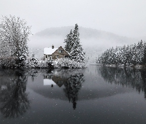 Dom, Jezioro, Odbicie, Śnieg, Drzewa, Świerki, Zima