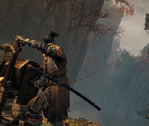 Jednoręki wilk, Sekiro, Sekiro Shadows Die Twice, Postać
