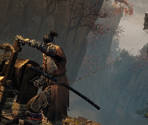 Sekiro Shadows Die Twice, Jednoręki wilk, Sekiro, Postać