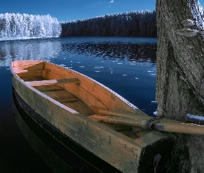 Zima, Las, Łódka, Drzewo, Jezioro