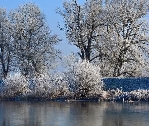 Zima, Rzeka, Drzewa, Krzewy, Oszronione