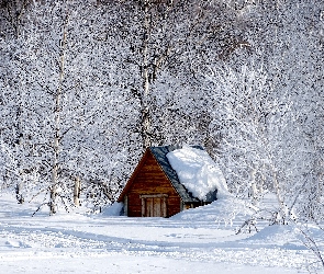 Zima, Las, Śnieg, Ośnieżony, Domek, Drzewa