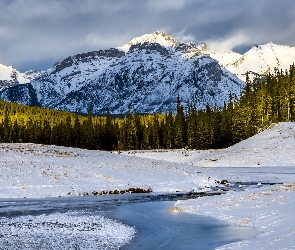 Góry, Palliser Range, Park Narodowy Banff, Jezioro, Góra Mount Astley, Kanada, Zima, Prowincja Alberta, Lake Minnewanka, Las, Drzewa