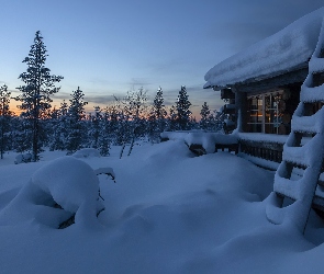 Ośnieżony, Drabina, Wieś Saariselka, Zima, Finlandia, Gmina Inari, Drzewa, Laponia, Dom