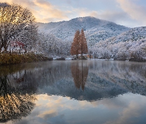 Jezioro, Drzewa, Góry, Zima, Gongju, Songgokji, Korea Południowa, Odbicie