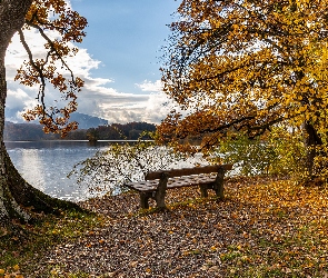 Jesień, Drzewa, Niemcy, Jezioro Staffelsee, Bawaria, Ławka