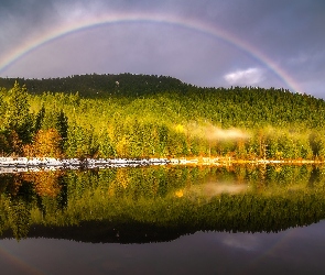 Stan Oregon, Tęcza, Trillium Lake, Stany Zjednoczone, Lasy, Jezioro, Drzewa