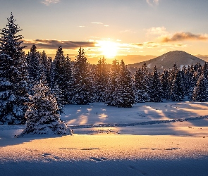 Lasy, Wydeptana, Góry, Śnieg, Zachód słońca, Drzewa, Zima, Ścieżka