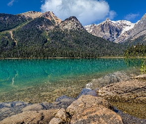 Jezioro, Świerki, Góry, Skały, Kolumbia Brytyjska, Emerald Lake, Kanada, Park Narodowy Yoho