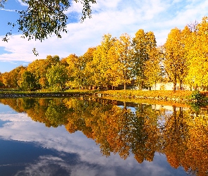 Park, Drzewa, Staw, Odbicie, Jesień