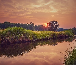 Rzeka, Zachód słońca, Drzewa, Chmury, Trawa