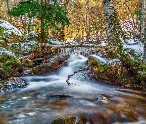 Śnieg, Lód, Drzewa, Las, Korzenie, Strumyk, Kamienie, Rzeka, Sople