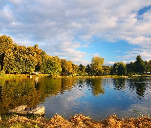 Staw, Park, Drzewa, Pożółkłe, Jesień