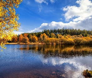Jezioro, Chmury, Drzewa, Jesień, Pożółkłe