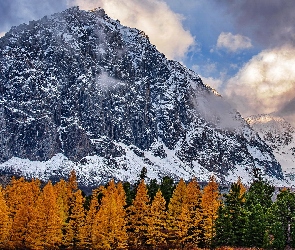 Jesień, Śnieg, Drzewa, Góry