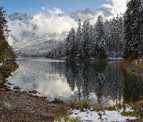 Kamienie, Las, Jezioro, Zima, Góry, Drzewa