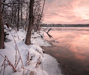 Jezioro, Śnieg, Las, Zima, Drzewa, Brzeg