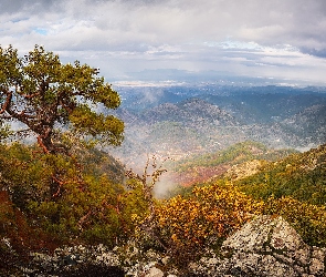 Góry, Troodos, Cypr, Sosna, Zachód słońca, Kamienie