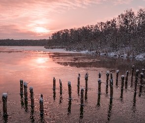 Jezioro, Pale, Drzewa, Zima