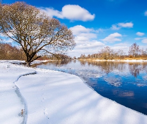 Estonia, Prowincja Tartu, Drzewa, Zima, Rzeka, Emajogi River