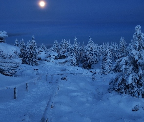 Śnieg, Noc, Skały, Drzewa, Księżyc, Zima, Góry