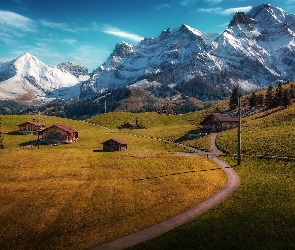 Szwajcaria, Alpy Berneńskie, Domy, Pola, Góry, Drzewa, Adelboden, Drogi, Kanton Berno, Łąki