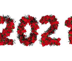 2021, Róże, Nowy Rok