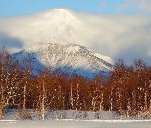 Kamczatka, Awaczyńska Sopka, Śnieg, Rosja, Wulkan, Zima, Drzewa