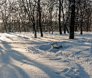 Zima, Las, Ślady, Zaśnieżona, Ławka, Drzewa