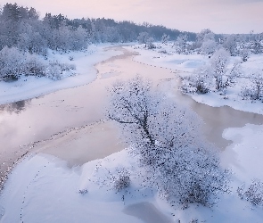 Rzeka, Rośliny, Drzewa, Oszronione, Zima