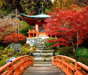 Bentendo Temple, Kioto, Japonia, Jesień, Drzewa, Kompleks Daigo-ji, Mostek, Świątynia