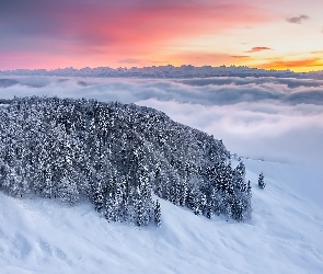 Zima, Zachód słońca, Góry, Jura Mountains, Drzewa