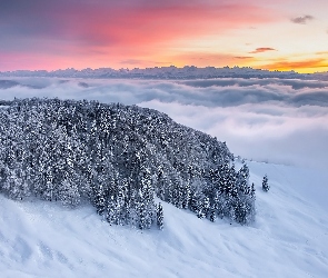 Drzewa, Zachód słońca, Jura Mountains, Góry, Zima