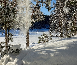 Drzewa, Śnieg, Jezioro, Las, Zima
