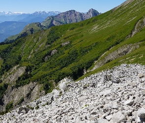 Kamienie, Zbocza, Zalesione, Skały, Góry
