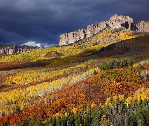 Stany Zjednoczone, Drzewa, Kolorowe, Kolorado, Skały, San Juan Mountains, Szczyty, Jesień, Góry, Lasy