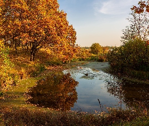 Drzewa, Chmury, Jesień, Liście, Staw