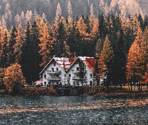 Jezioro, Drzewa, Dom, Las