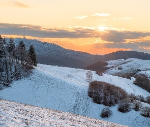 Góry, Drzewa, Zima, Kaiserstuhl, Badenia-Wirtembergia, Wzgórza, Niemcy, Wschód słońca