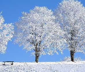 Ośnieżone, Zima, Ślady, Ławka, Pole, Śnieg, Drzewa