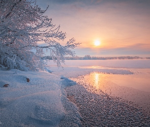 Wschód słońca, Śnieg, Jezioro, Zima, Krzewy, Lód