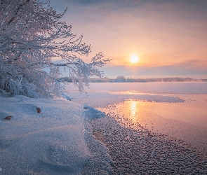 Zima, Jezioro, Wschód słońca, Lód, Śnieg, Krzewy