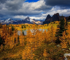 Jesień, Modrzewie, Drzewa, Świerki, Góry Jezioro