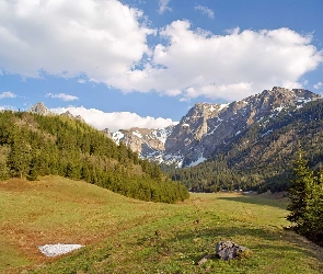 Góry, Łąka, Zakopane