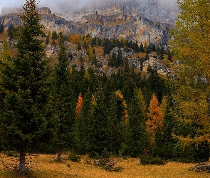 Jesień, Góry, Modrzew, Drzewa, Świerki, Skały