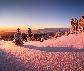 Polska, Koszary Łopuszańskie, Hala Młyńska, Powiat nowotarski, Śnieg, Wschód słońca, Drzewa, Góry, Zima, Tatry