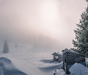 Śnieg, Mgła, Budki, Drzewa, Zima
