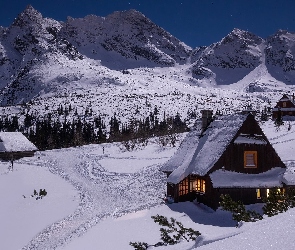 Domy, Zima, Góry, Drzewa, Dolina Zielona Gąsienicowa, Polska, Tatry